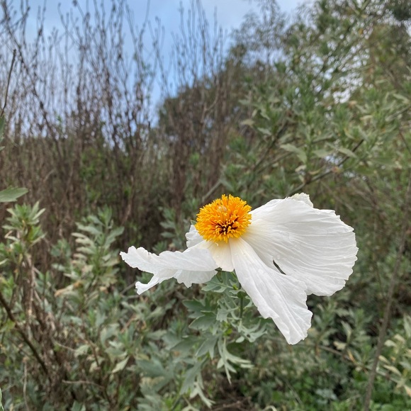 Meet your Posher, Eve - Picture 12 of 16